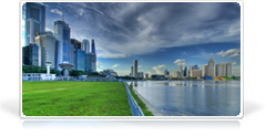 Thiết kế website chứng khoán