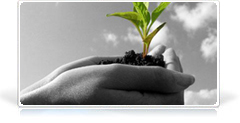 Thiết kế website bán thang máy