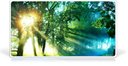 Thiết kế website Du lịch